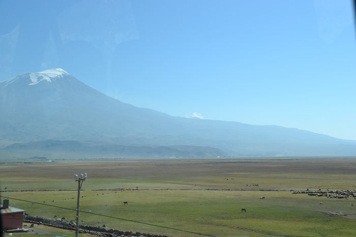 Hamdım piştim yandım