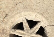 Çinili Köşk ve Fatih Köşkü