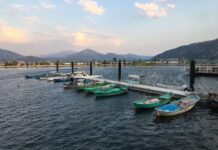 Askerî Müze Tanıtımı ve Yayın Çalışmaları